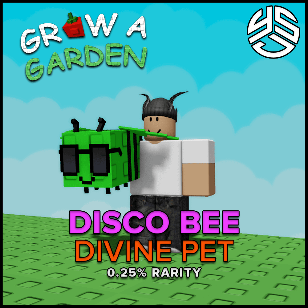 Disco Bee - Divine Pet