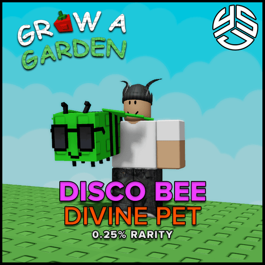 Disco Bee - Divine Pet