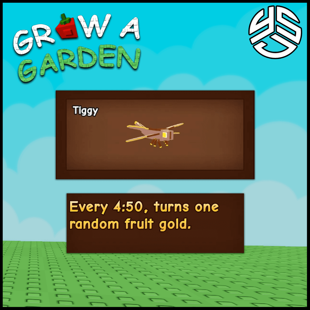Dragonfly - Divine Pet