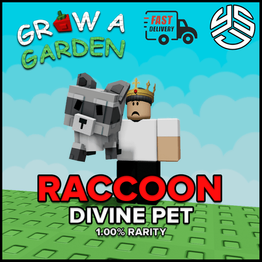 Raccoon - Divine Pet
